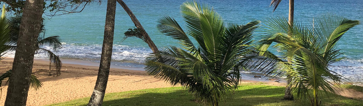 Plage des Amandiers : Le coin de paradis caché de Sainte-Rose en Guadeloupe